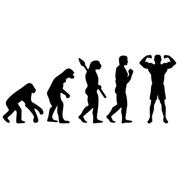Wall Stickers: Bodybuilding evolution