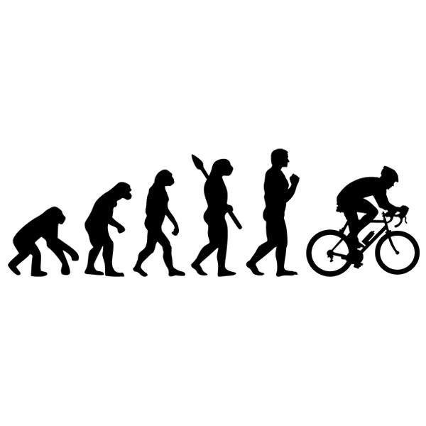 Wall Stickers: Cycling evolution
