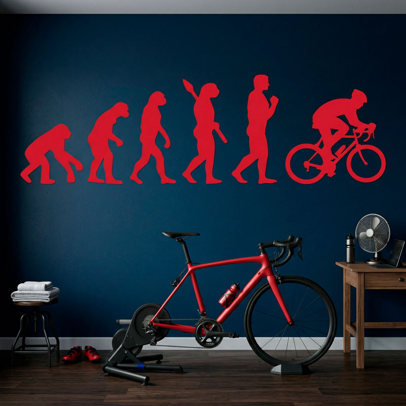 Cycling evolution 12