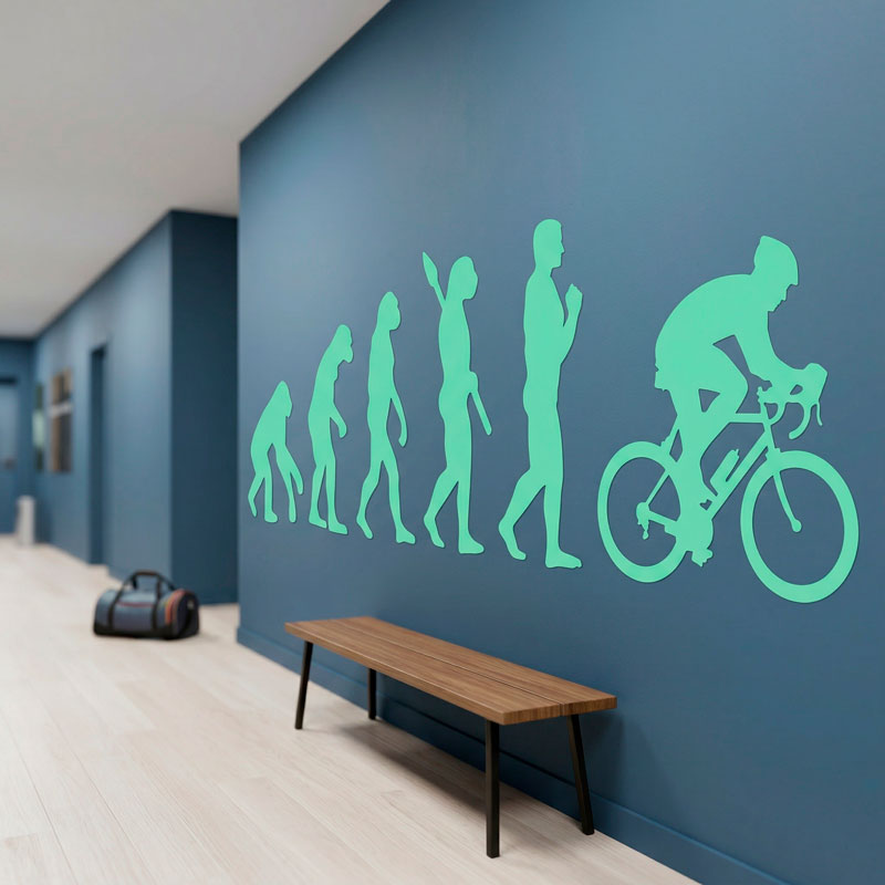 Cycling evolution 5