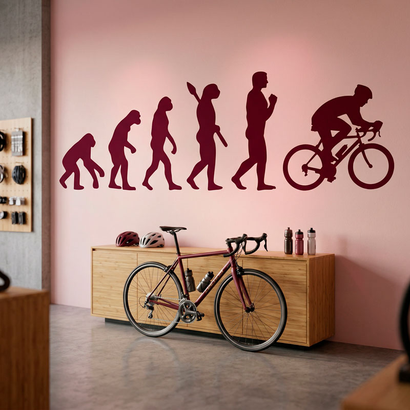 Cycling evolution 8