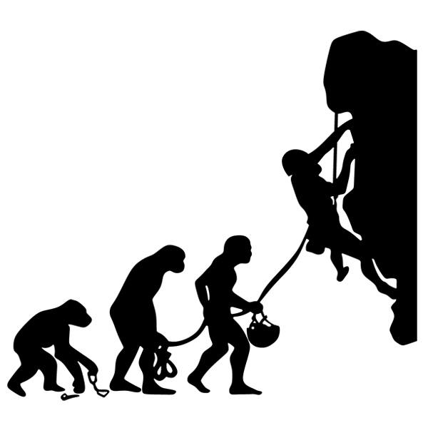 Wall Stickers: Evolution ascension