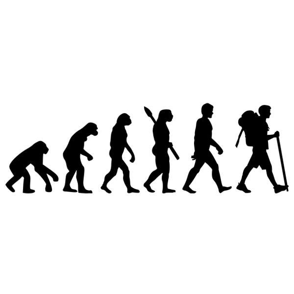 Wall Stickers: Evolution of hiking