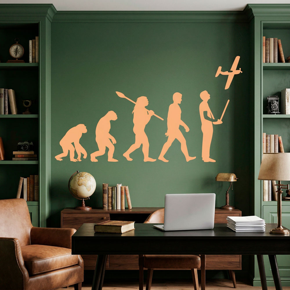 Wall Stickers: RC Aircraft evolution