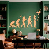 Wall Stickers: RC Aircraft evolution 3