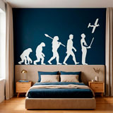 Wall Stickers: RC Aircraft evolution 4
