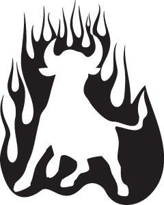 Car & Motorbike Stickers: Flames