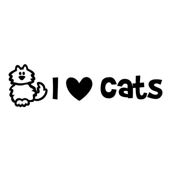 Car & Motorbike Stickers: Catlike Love