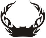 Car & Motorbike Stickers: Hood Flames