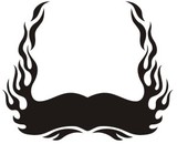 Car & Motorbike Stickers: Hood Flames