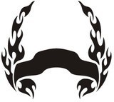 Car & Motorbike Stickers: Hood Flames