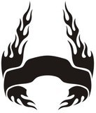 Car & Motorbike Stickers: Hood Flames
