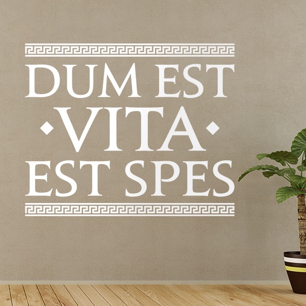 Wall Stickers: Dum Est Vita Est Spes