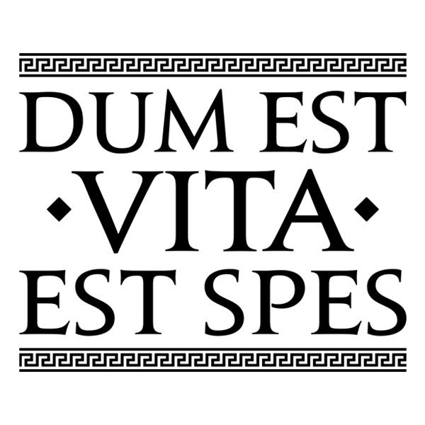 Wall Stickers: Dum Est Vita Est Spes