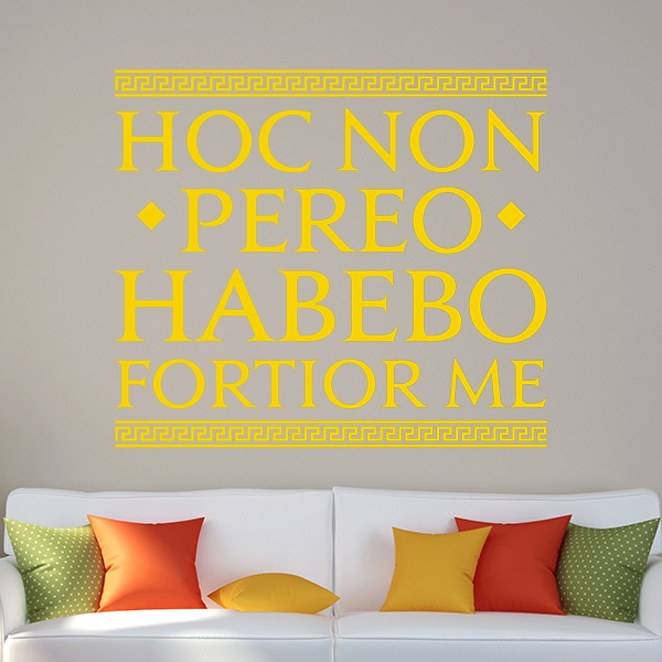 Wall Stickers: Hoc Non Pereo Habebo