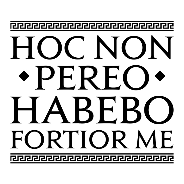 Wall Stickers: Hoc Non Pereo Habebo