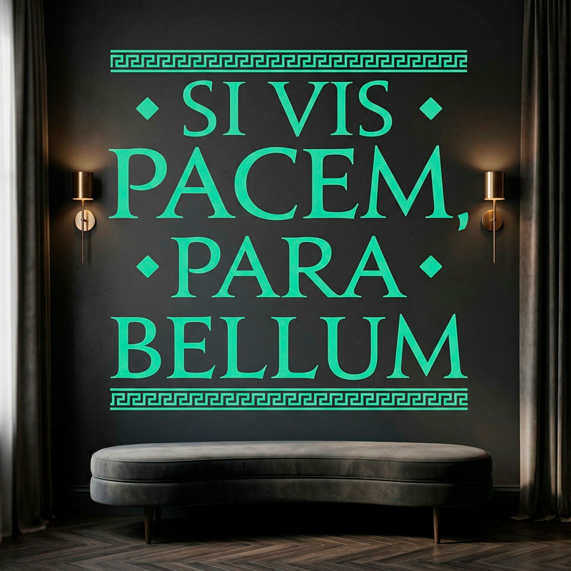Si Vis Pacem Para Bellum 6/6