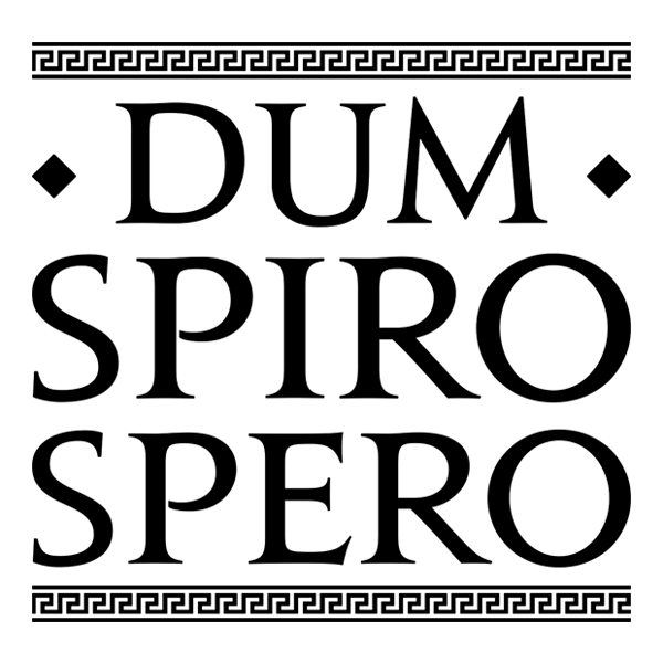 Wall Stickers: Dum Spiro Spero