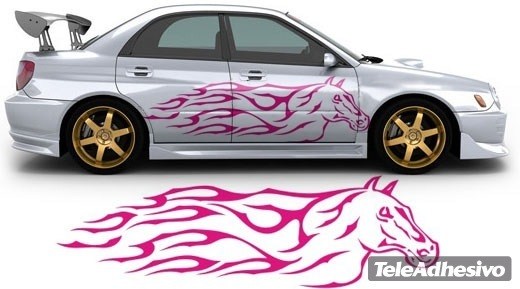 Car & Motorbike Stickers: Tribal Kit 47