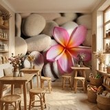 Wall Murals: Flower on stone grey Flower on stone grey 11