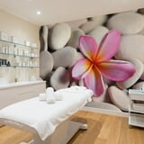 Wall Murals: Flower on stone grey Flower on stone grey 13