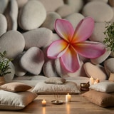 Wall Murals: Flower on stone grey Flower on stone grey 17