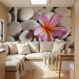 Wall Murals: Flower on stone grey Flower on stone grey 19