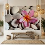 Wall Murals: Flower on stone grey Flower on stone grey 20