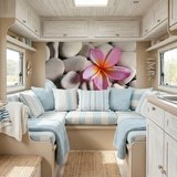 Wall Murals: Flower on stone grey Flower on stone grey 6