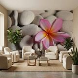 Wall Murals: Flower on stone grey Flower on stone grey 9