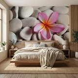 Wall Murals: Flower on stone grey Flower on stone grey 10
