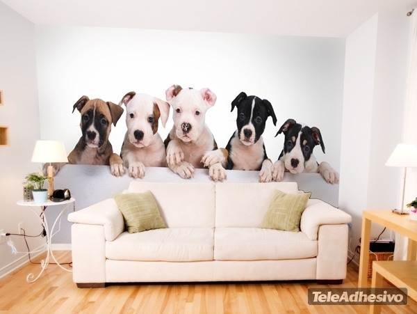 Wall Murals: Dogs