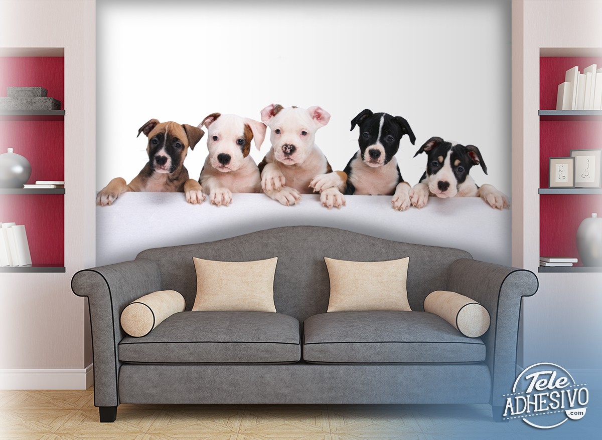 Wall Murals: Dogs