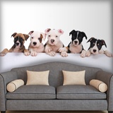 Wall Murals: Dogs 3