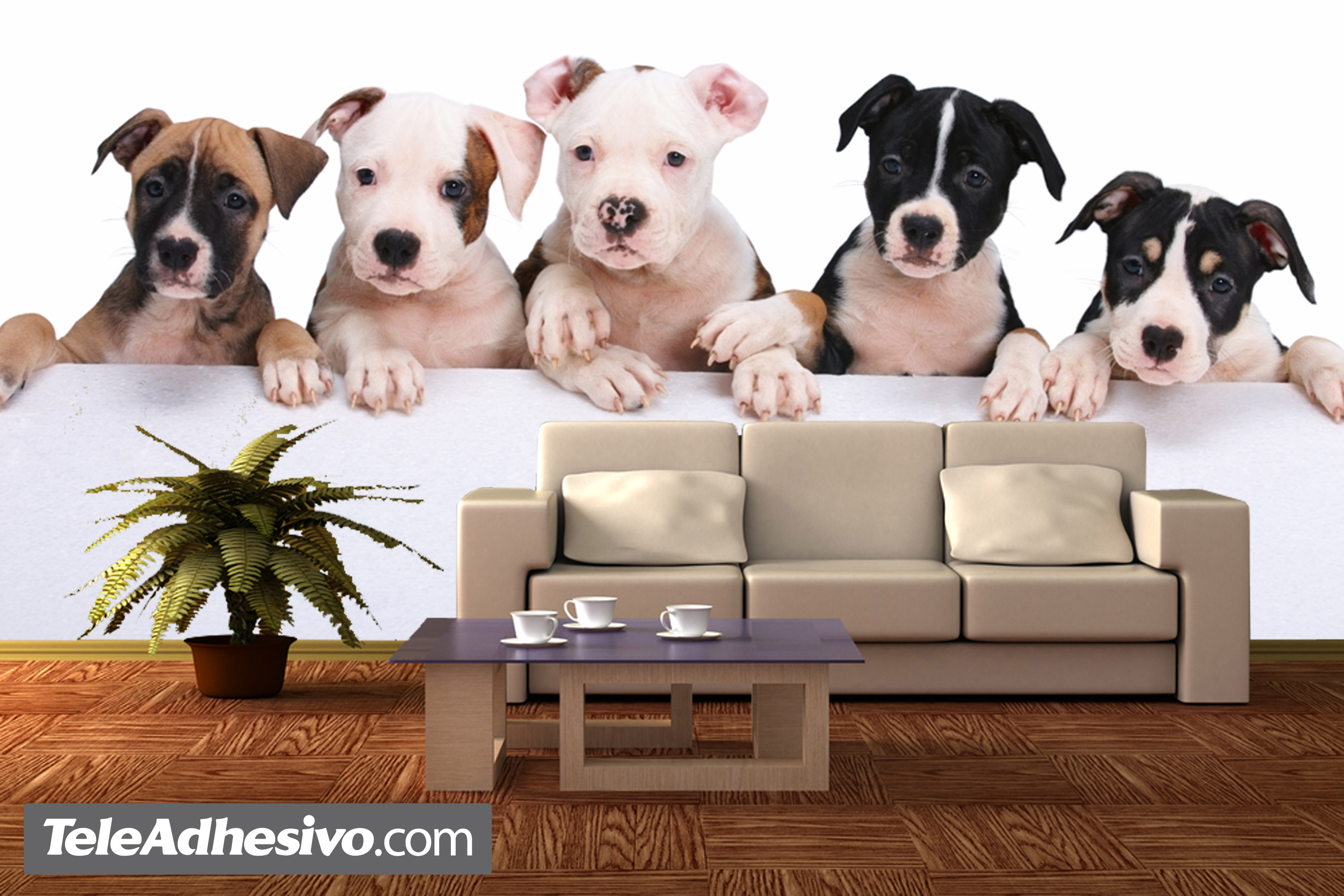 Wall murals Dogs | MuralDecal.com