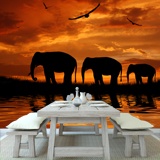 Wall Murals: Elephants migrating 2