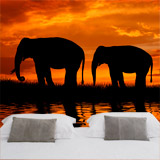 Wall Murals: Elephants migrating 5