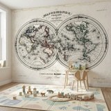 Wall Murals: Map of the World 1848 6