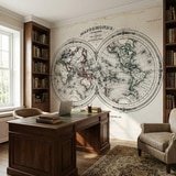 Wall Murals: Map of the World 1848 10