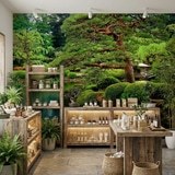 Wall Murals: Japanese garden 8