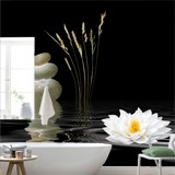 Wall Murals: Ikebana 2