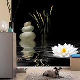 Wall Murals: Ikebana 3