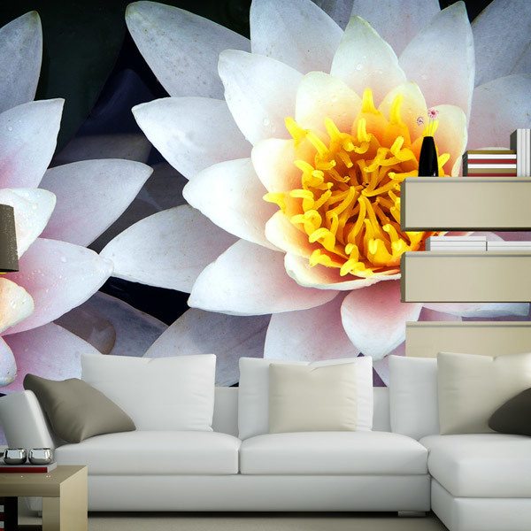 Wall Murals: Lotus Flowers