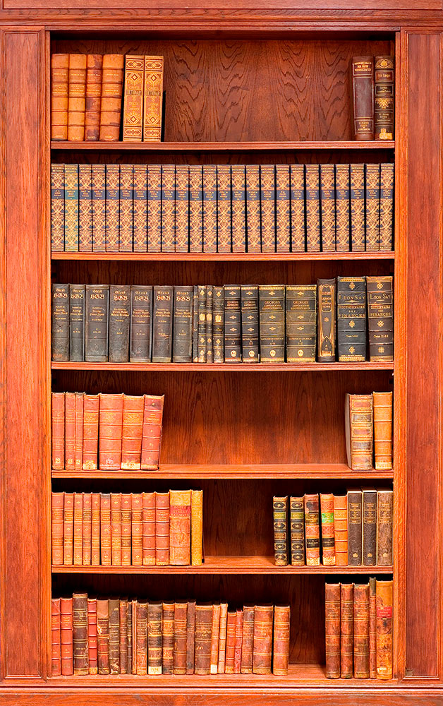 Wall Murals: Shelving