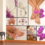 Wall Murals: Nail Salons 4