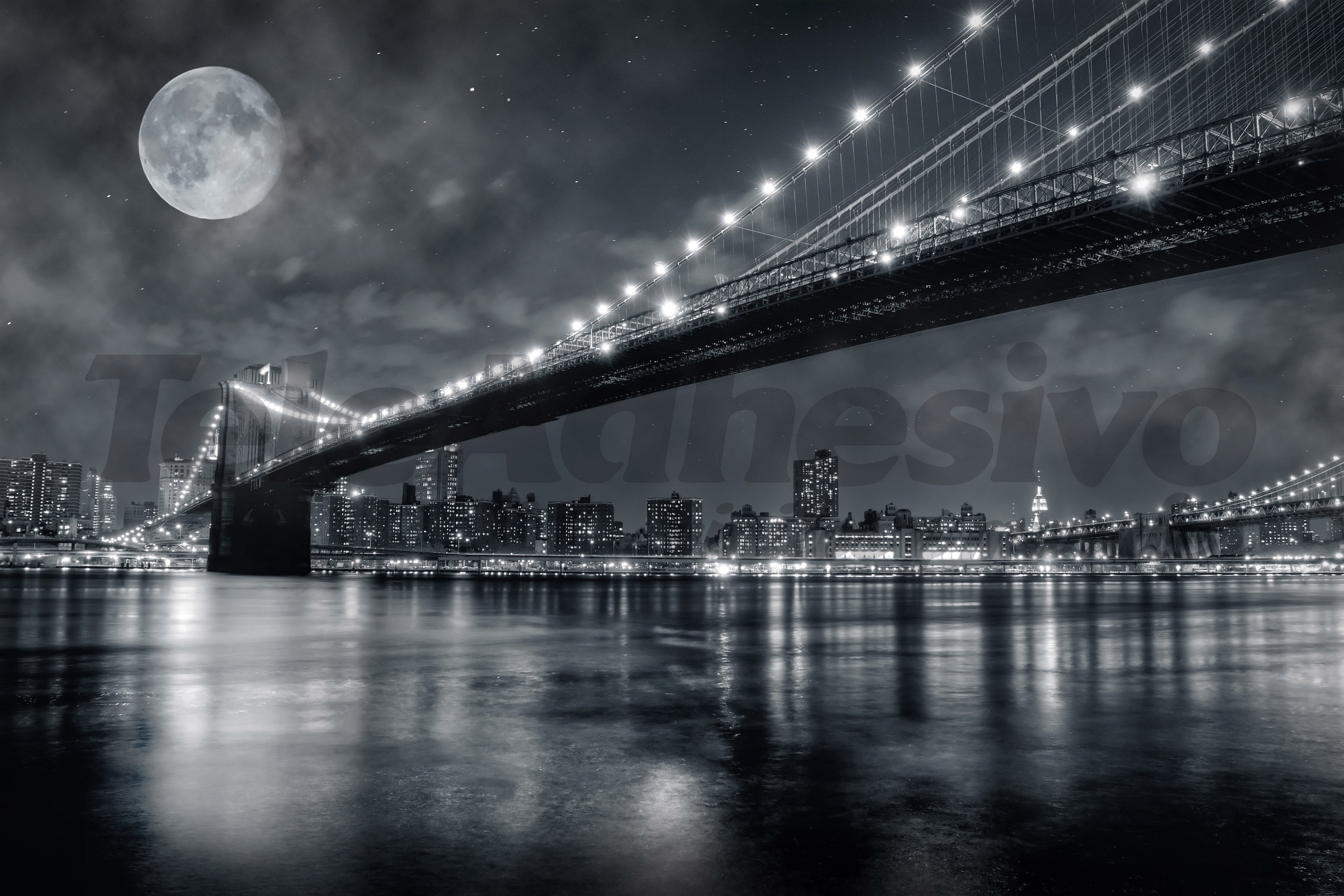 Wall Murals: Nightly Brooklyn Bridge