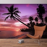 Wall Murals: Twilight 3