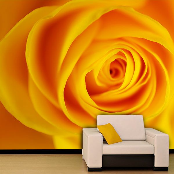 Wall Murals: Yellow Rose 0