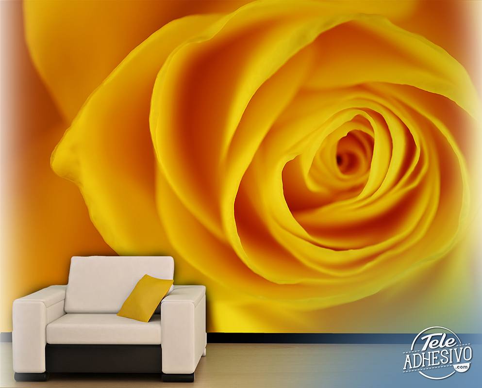 Wall Murals: Yellow Rose