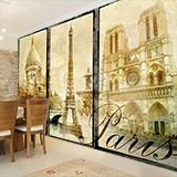 Wall Murals: Classical Paris 2